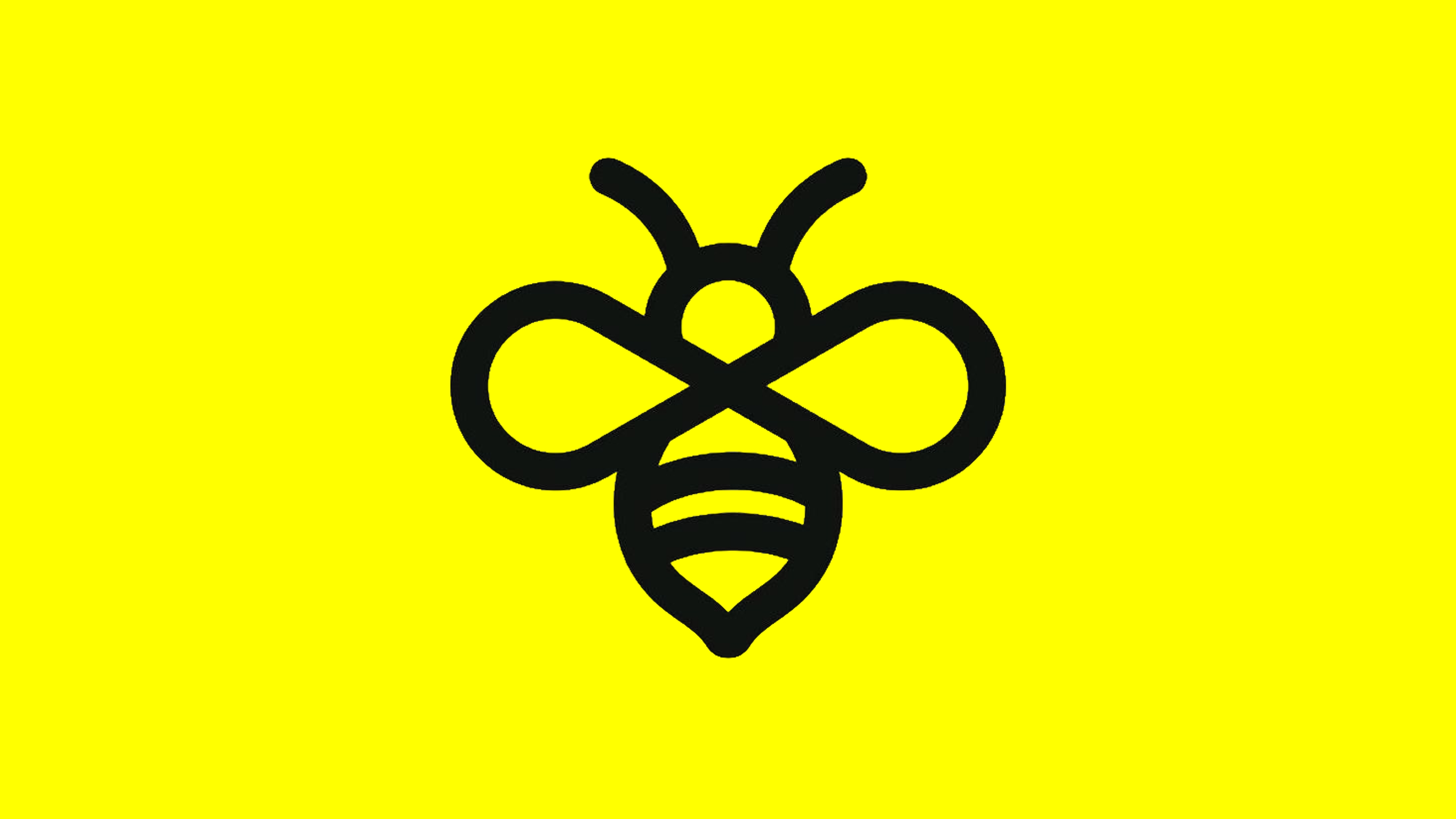 Insekten